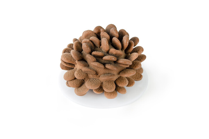 Пирожное 140г Шишка