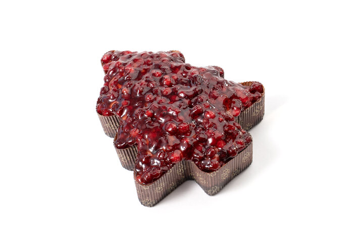 Шарлотка с брусникой